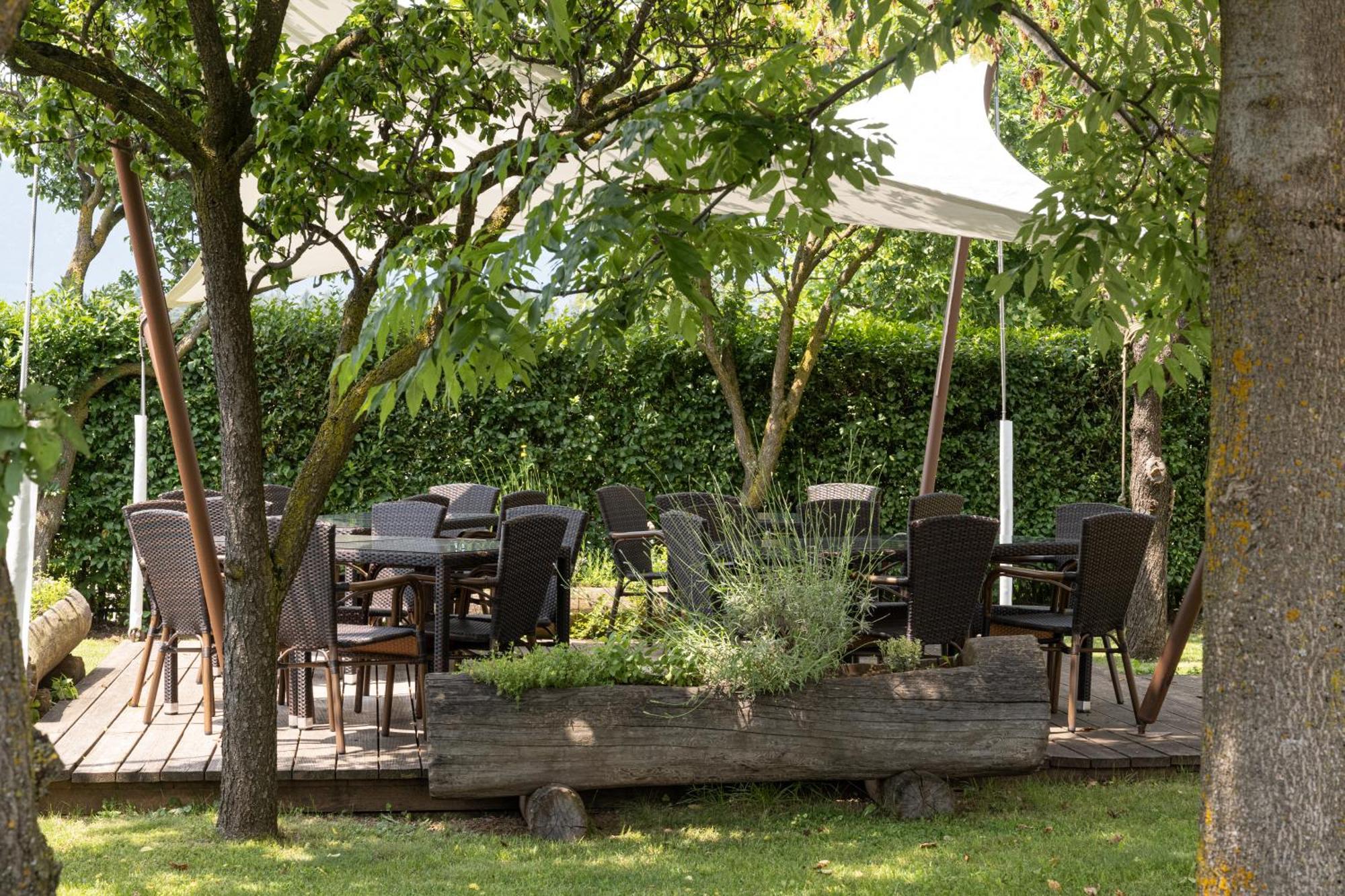 Piccolo Orso Bruno Bed & Breakfast Cavareno Eksteriør bilde